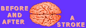 Click here for the Healthy Living article brain and words